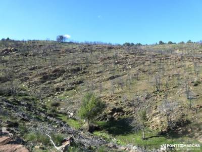 Agua, Vino y .... Vida - Tierra de Pinares; robledondo bastones nordic walking senderismo almeria mo